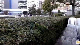 91麻豆国产,91精品国产麻豆国产自产在线,91麻豆精品,91麻豆精品V888JAV